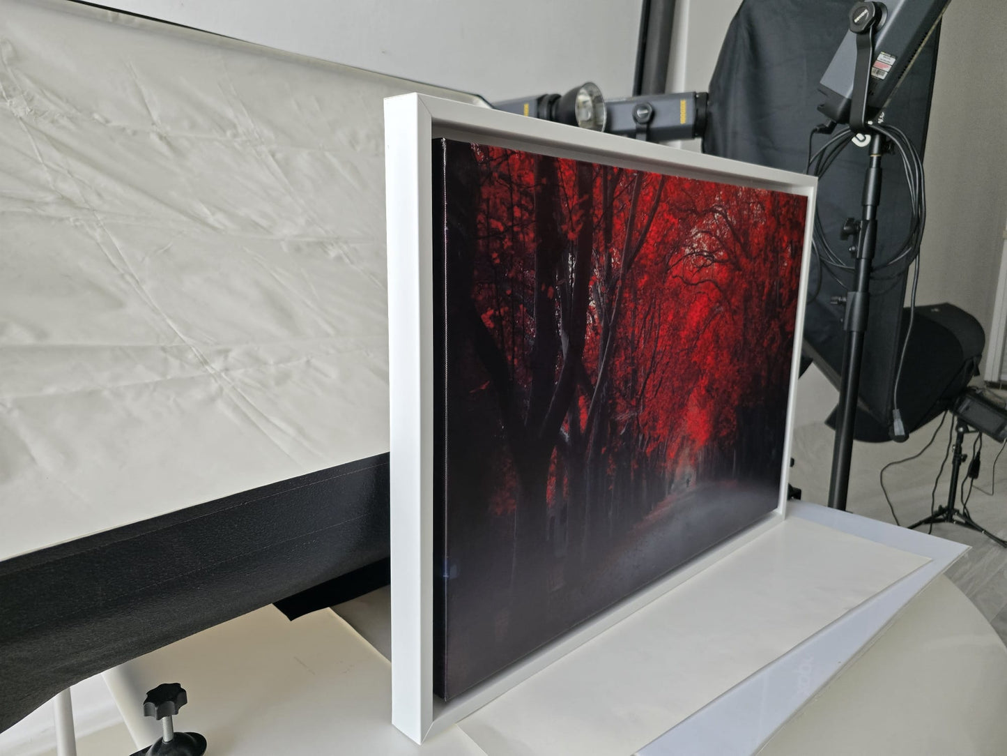 a framed photograph of a red autumnal forest scene, with a black and white background.