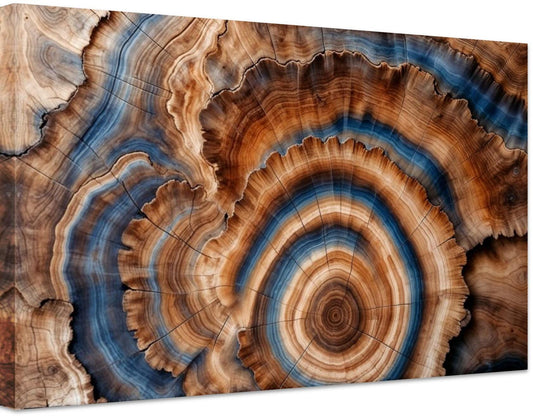 Tree Rings Canvas Wall Art Elegant Natural Wall Art Great Design Solution for Echo Tree Ring Print stump,Tree ring Wood Canvas art Texture