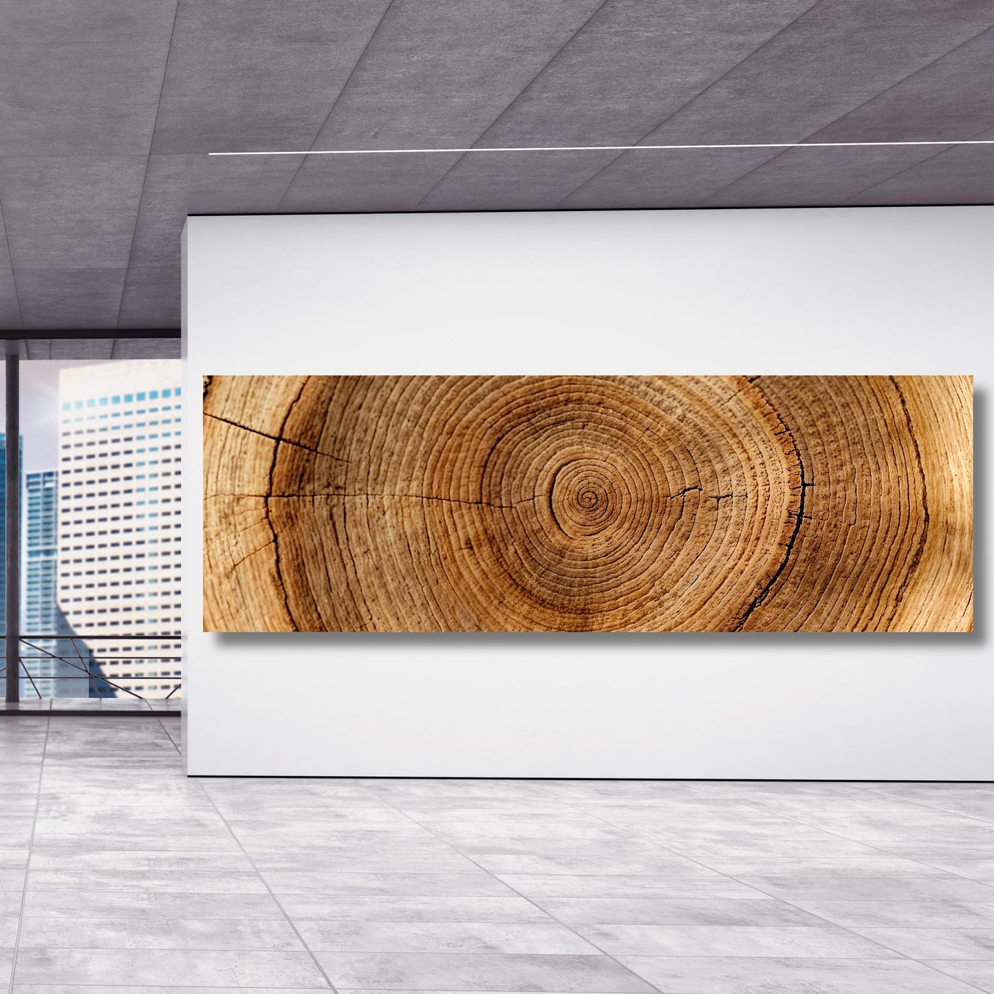 Panoramic Tree Rings Canvas Wall Art Elegant Natural Wall Art Great Design Solution for Echo Tree Ring Print of stump, Tree ring Canvas art