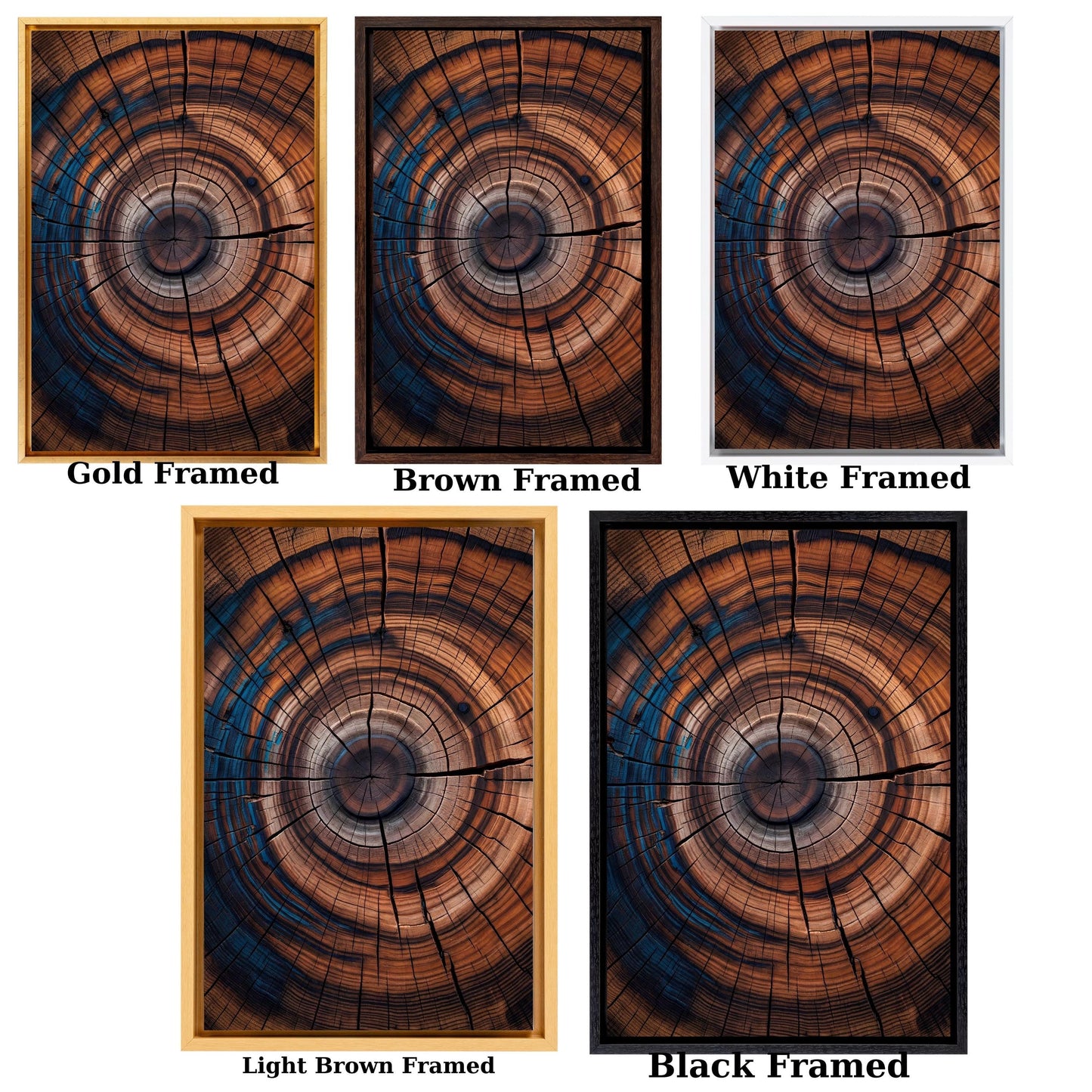 Tree Rings Canvas Wall Art Elegant Natural Wall Art Great Design Solution for Echo Tree Ring Print stump,Tree ring Wood Canvas art Texture
