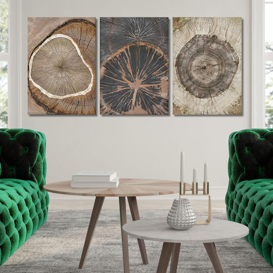 Set of 3 Tree Ring Canvas Wall Art, Colorful Tree Ring Wall Decor, Minimalist Home Canvas Art,Tree Ring Abstract Tree Ring Art gift Painting