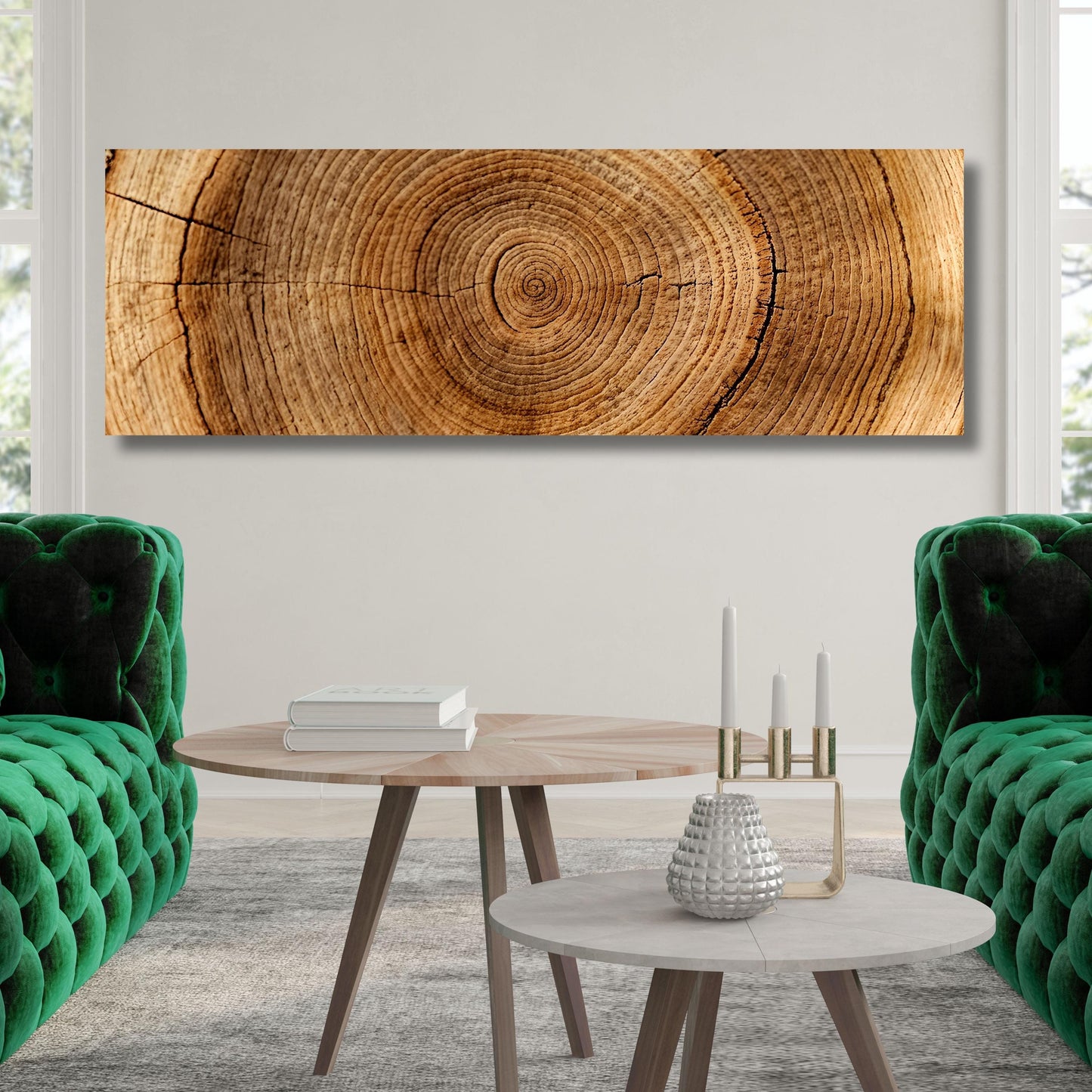 Panoramic Tree Rings Canvas Wall Art Elegant Natural Wall Art Great Design Solution for Echo Tree Ring Print of stump, Tree ring Canvas art