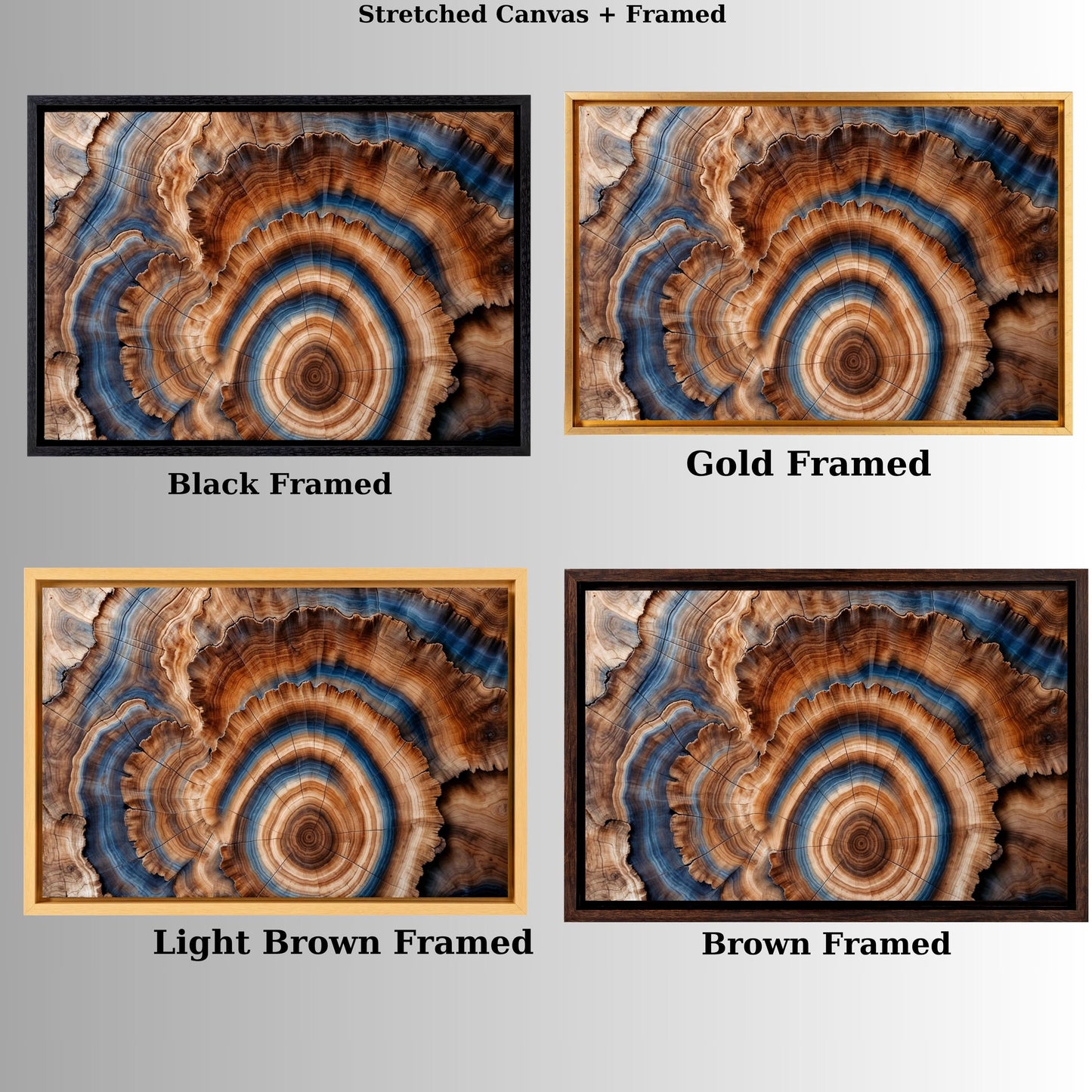 Tree Rings Canvas Wall Art Elegant Natural Wall Art Great Design Solution for Echo Tree Ring Print stump,Tree ring Wood Canvas art Texture