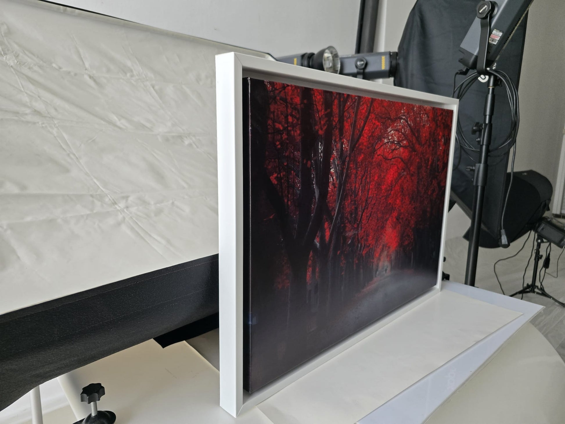 a framed photograph of a red autumnal forest scene, with a black and white background.
