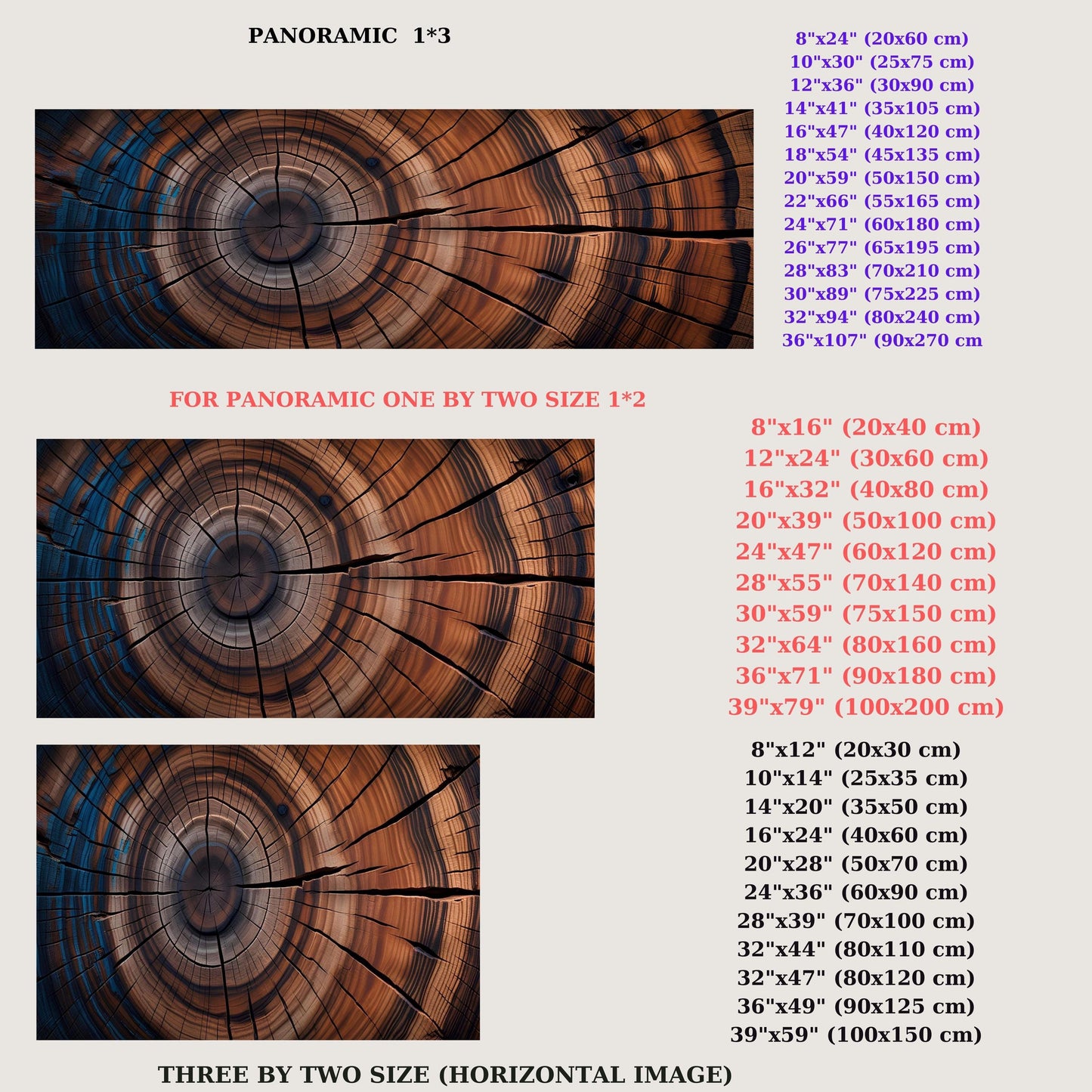 Panoramic Tree Rings Canvas Wall Art Elegant Natural Wall Art Great Design Solution for Echo Tree Ring Print of stump, Tree ring Canvas art