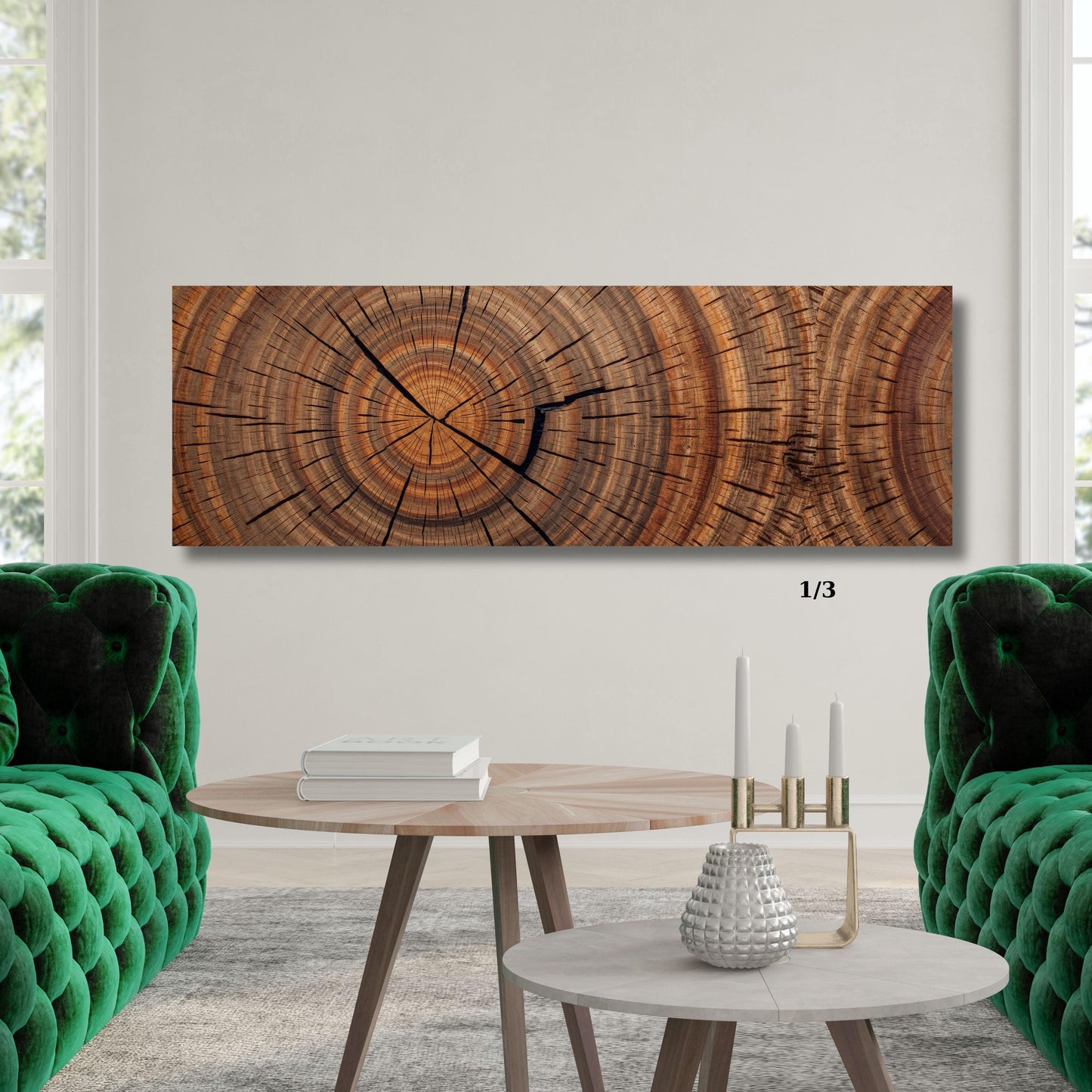 Panoramic Tree Rings Canvas Wall Art Elegant Natural Wall Art Great Design Solution for Echo Tree Ring Print of stump, Tree ring Canvas art