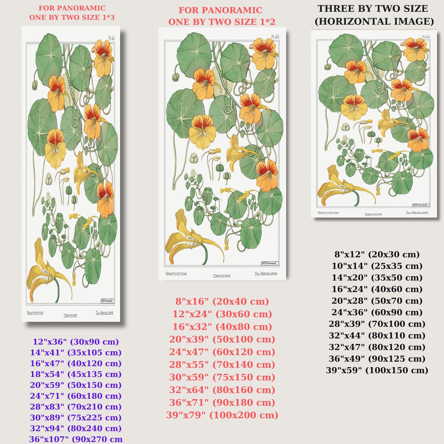 Capucine Nasturtium Canvas Wall Art – Art Nouveau Botanical Illustration Print