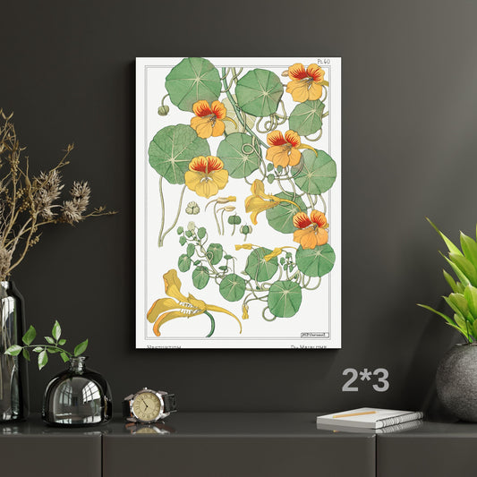 Capucine Nasturtium Canvas Wall Art – Art Nouveau Botanical Illustration Print