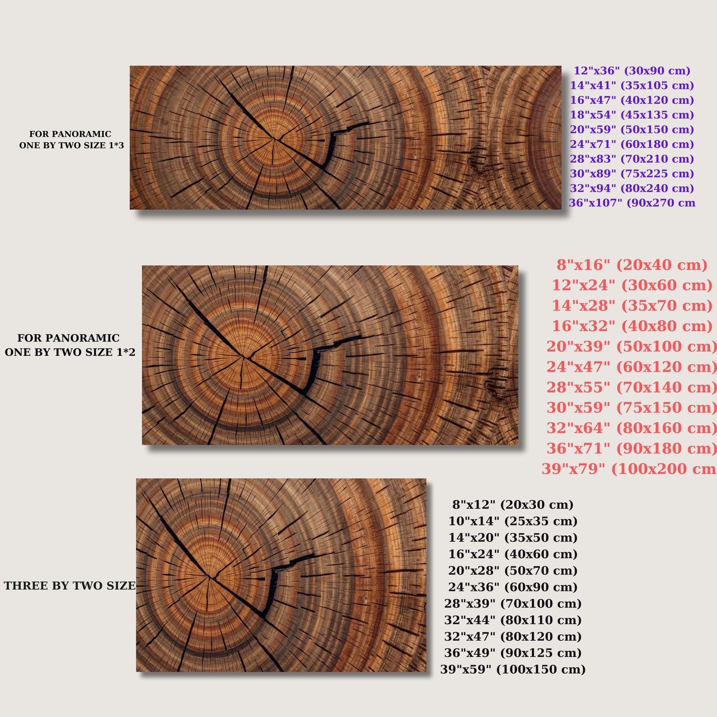 Panoramic Tree Rings Canvas Wall Art Elegant Natural Wall Art Great Design Solution for Echo Tree Ring Print of stump, Tree ring Canvas art